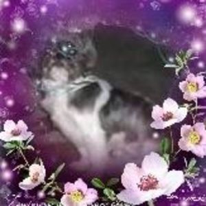 Meet your Posher, Jeanne